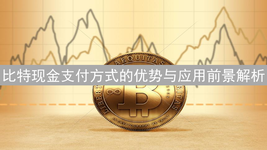 比特现金支付方式的优势与应用前景解析