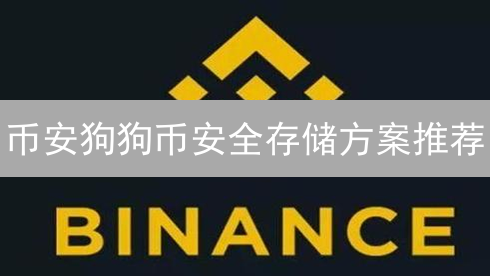 币安狗狗币安全存储方案推荐：新手指南与风险防范