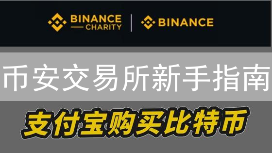 币安交易所新手指南：注册与首次交易详解