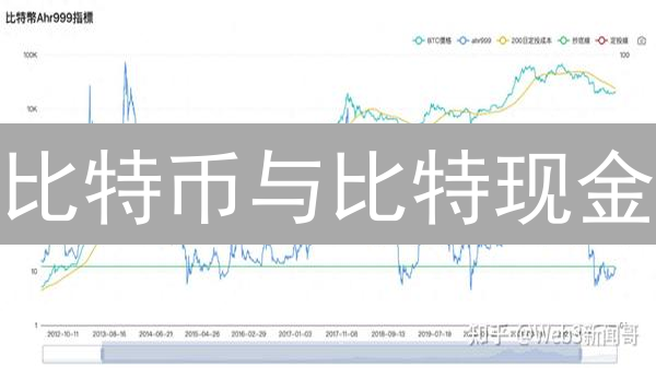 比特币与比特现金：回报率对比与投资策略分析