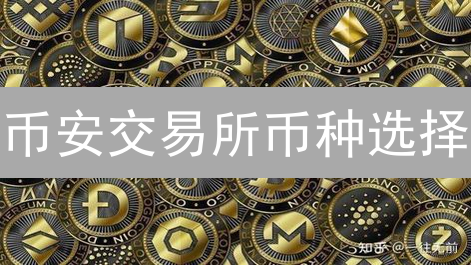币安交易所币种选择：潜力与风险并存的加密世界