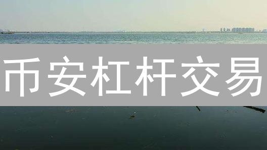 币安杠杆交易：放大收益与风险并存的加密货币投资策略