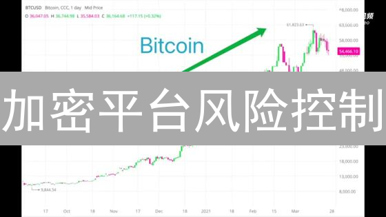 加密平台风险控制：多维度深度剖析与安全策略
