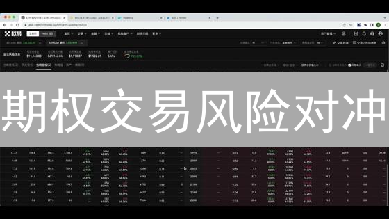 期权交易风险对冲：市场波动中的稳健策略分析
