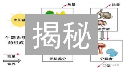揭秘：加密货币生态系统，机遇与挑战并存？新手必看！
