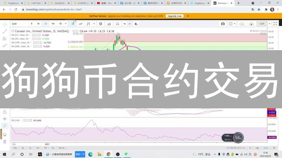 狗狗币合约交易：新手快速上手，暴富还是爆仓？