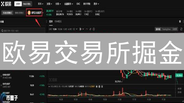 欧易交易所掘金：新手必看！资产配置多元化，稳健盈利攻略