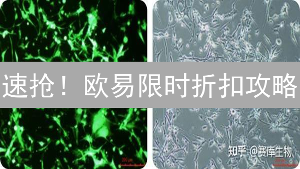 速抢！欧易限时折扣攻略：手把手教你薅羊毛！