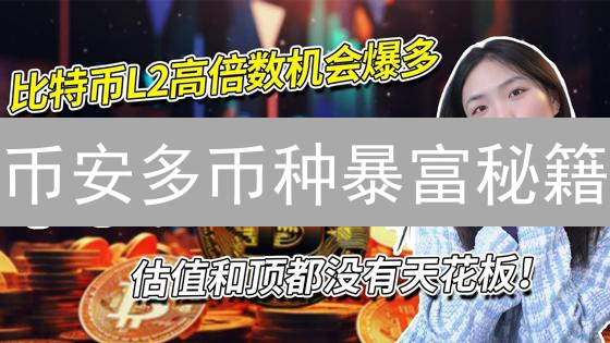 币安多币种暴富秘籍：策略、风控、实战，让你躺赚！