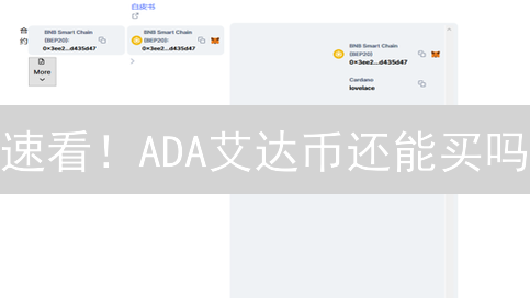 速看！ADA艾达币还能买吗？2024年投资卡尔达诺全攻略！
