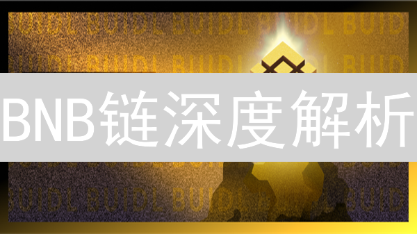 BNB链深度解析：是否值得All in？揭秘加密货币未来趋势！