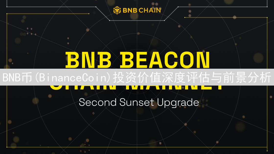 BNB币(BinanceCoin)投资价值深度评估与前景分析