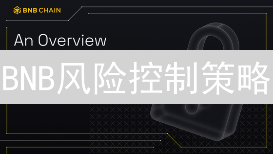 BNB风险控制策略：超越主流交易所的深度思考与实践