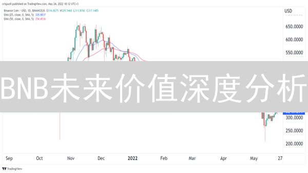 BNB未来价值深度分析：对比火币交易所币视角