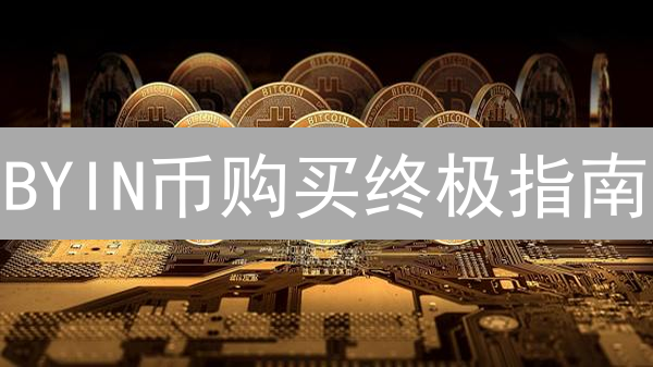 BYIN币购买终极指南：新手也能轻松入门！避坑必看！