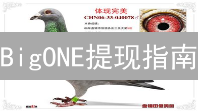 BigONE提现指南：速度、费用、失败？一文解决！