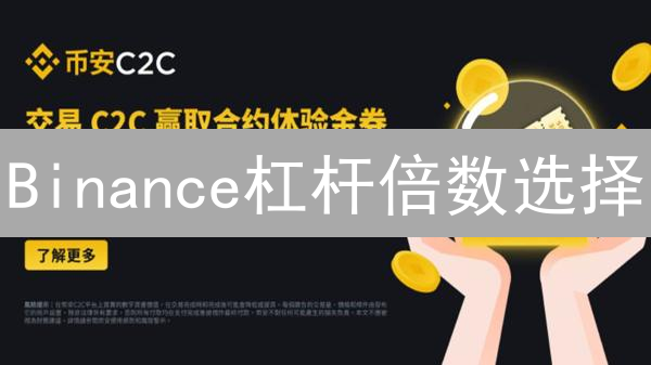 Binance杠杆倍数选择：风险与收益的平衡艺术