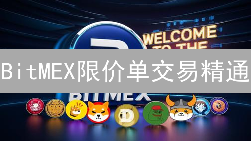 BitMEX限价单交易精通：策略优化与市场掌控