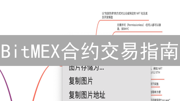 BitMEX合约交易指南：新手必看，掘金机会大揭秘！