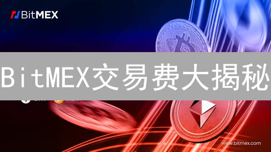 BitMEX交易费大揭秘：省钱策略，你不容错过！