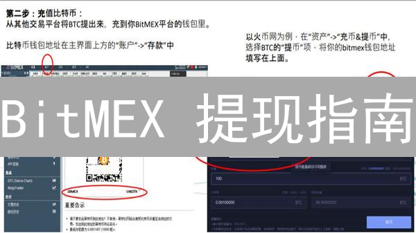 BitMEX 提现指南：5 分钟搞定，告别资金难题！