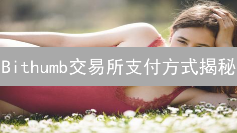 Bithumb交易所支付方式揭秘：5大选项，哪个最划算？