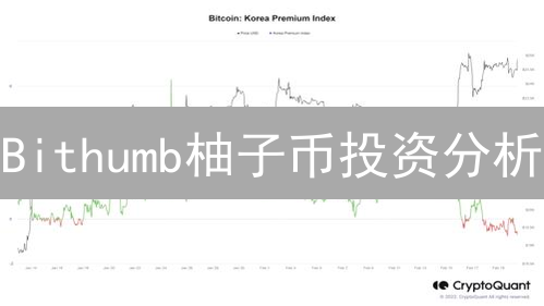 Bithumb柚子币投资分析：价值评估与币种对比深度解析