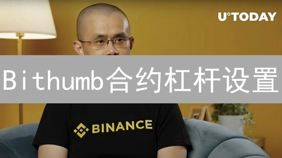 Bithumb合约杠杆设置：风险控制与收益最大化指南