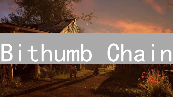 Bithumb Chain：企业级DeFi的颠覆者？三大优势解析！