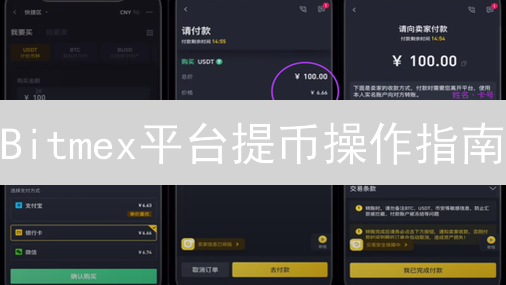 Bitmex平台提币操作指南：安全高效转移资金