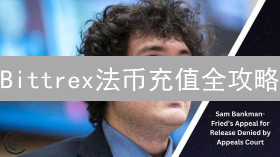 Bittrex法币充值全攻略：告别繁琐，轻松玩转数字货币交易！
