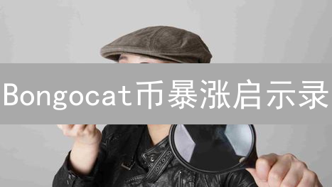 Bongocat币暴涨启示录：下一个财富神话，还是泡沫破灭？