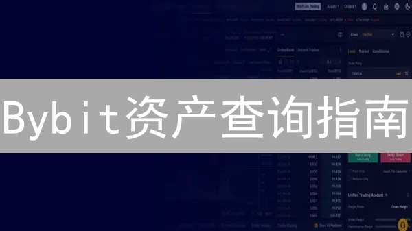 Bybit资产查询指南：3分钟掌握资金流向，提高收益！(2024)
