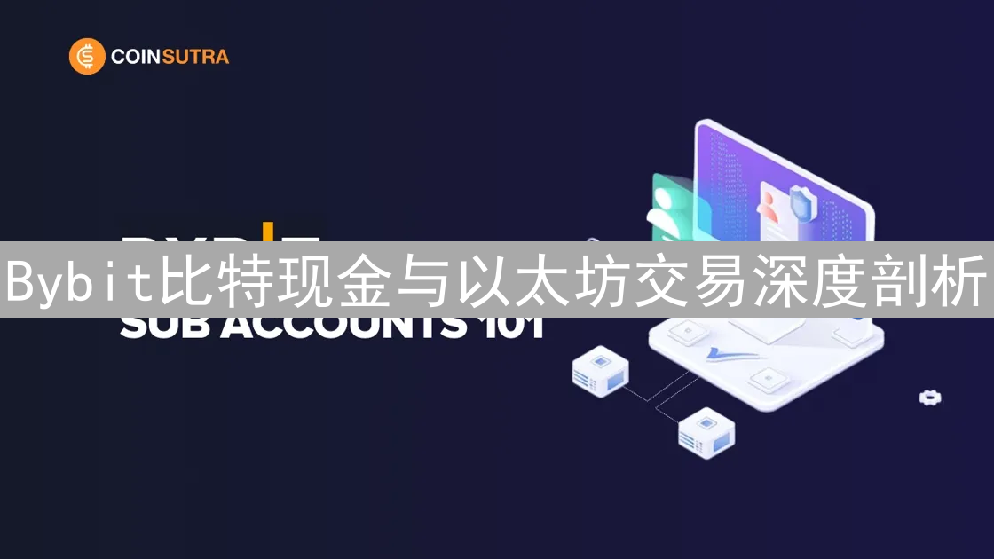 Bybit比特现金与以太坊交易深度剖析