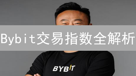 Bybit交易指数全解析：把握市场情绪，提升交易胜率！