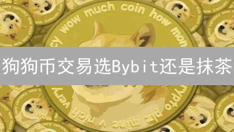 狗狗币交易选Bybit还是抹茶？深度对比，抓住暴富机会！