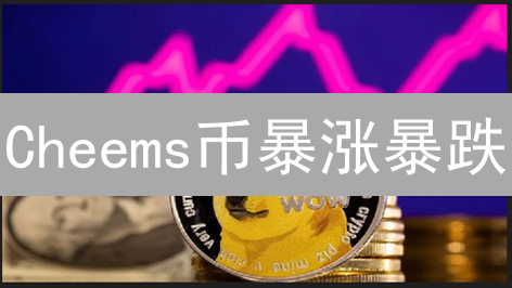 Cheems币暴涨暴跌？深度解析Cheems币未来价值！