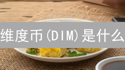 维度币(DIM)是什么？未来发展前景深度分析及应用场景