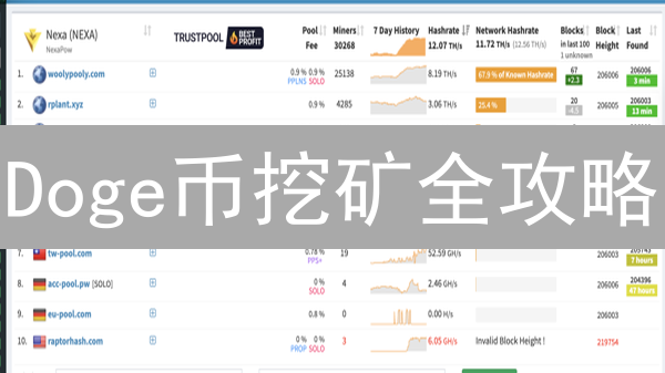 Doge币挖矿全攻略：新手也能轻松上手？ | 2024最新教程