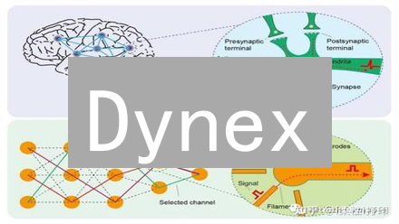 Dynex：颠覆算力的黑马，人工智能的加速器？