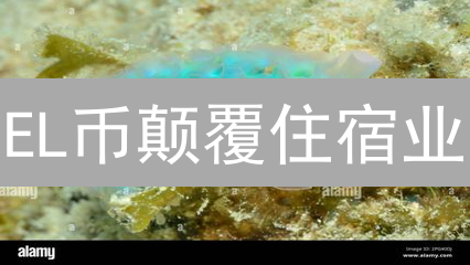 EL币颠覆住宿业？解密Elysia区块链共享平台