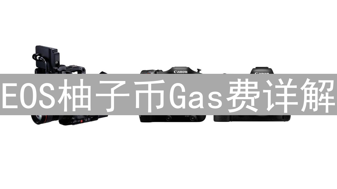 EOS柚子币Gas费详解：资源模型与交易成本分析