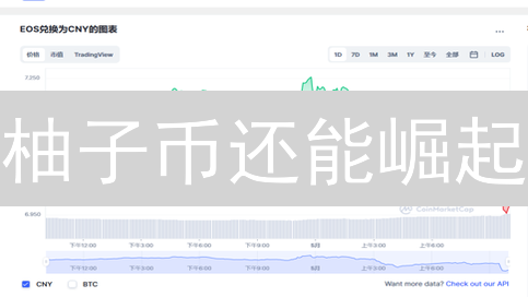 柚子币还能崛起？深度剖析监管下的EOS生存之道！