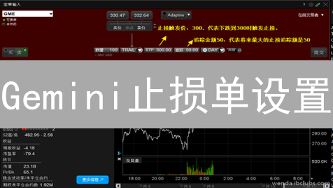 Gemini止损单设置：详细步骤与风险管理指南