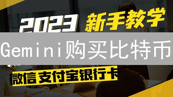 Gemini购买比特币：订单确认、支付流程与交易详解