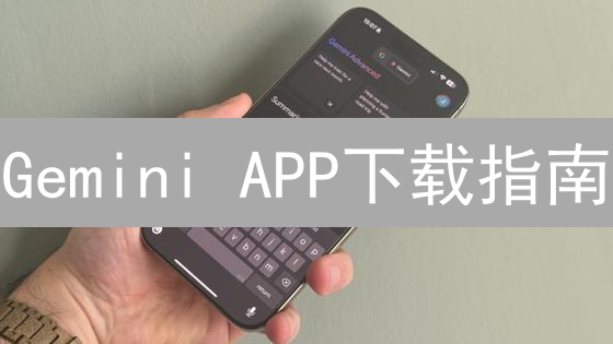Gemini APP下载指南：iOS/安卓安装秘籍，账户安全双重保障！