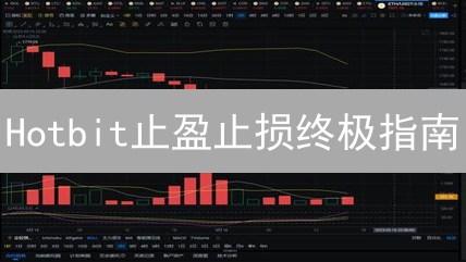 Hotbit止盈止损终极指南：告别爆仓，稳健盈利！