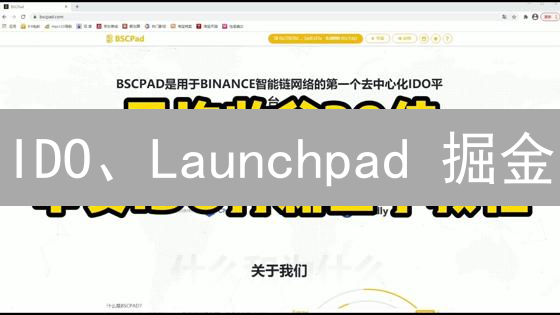 IDO、Launchpad 掘金：速Get加密货币早期投资策略！