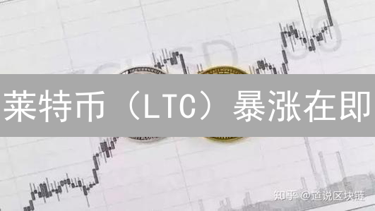 莱特币（LTC）暴涨在即？抓住最佳购买时机！专家解读