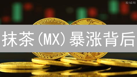 抹茶(MX)暴涨背后：交易所表现究竟藏着什么秘密？